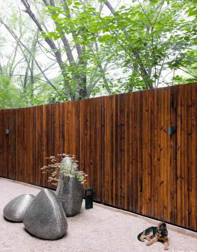 井柏然谈家庭,井柏然采访门当户对