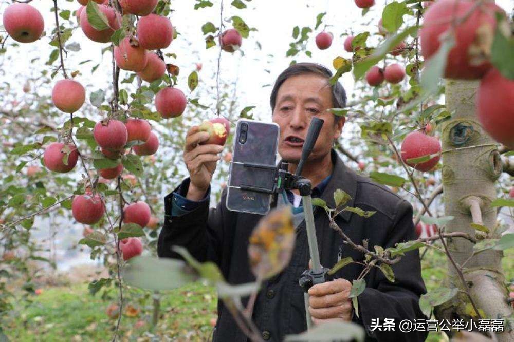 渔民直播卖货,海边渔民带货直播