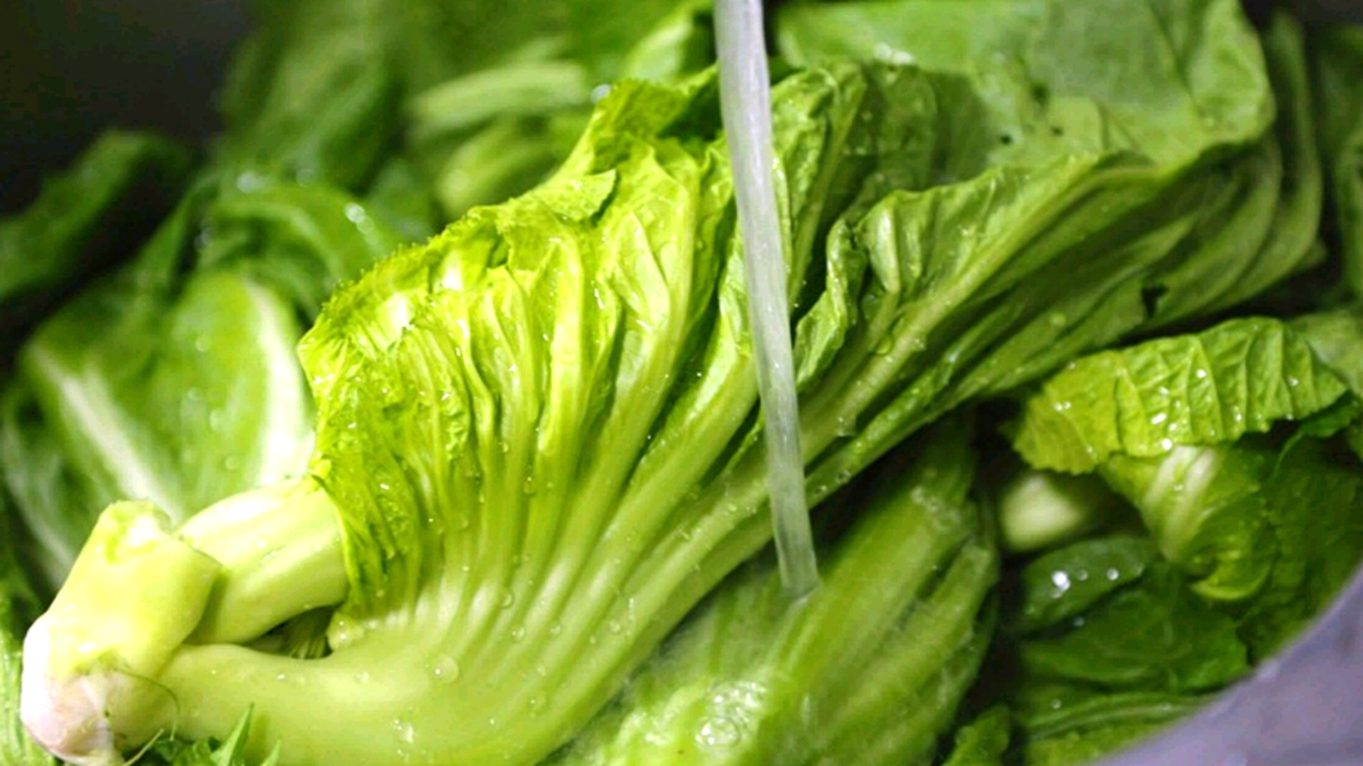 酸爽开胃酸菜炒粉这样做最地道,酸菜炖排骨酸爽开胃