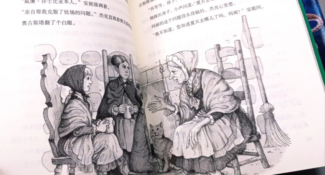 神奇树屋适合多大孩子读,神奇树屋小百科44册