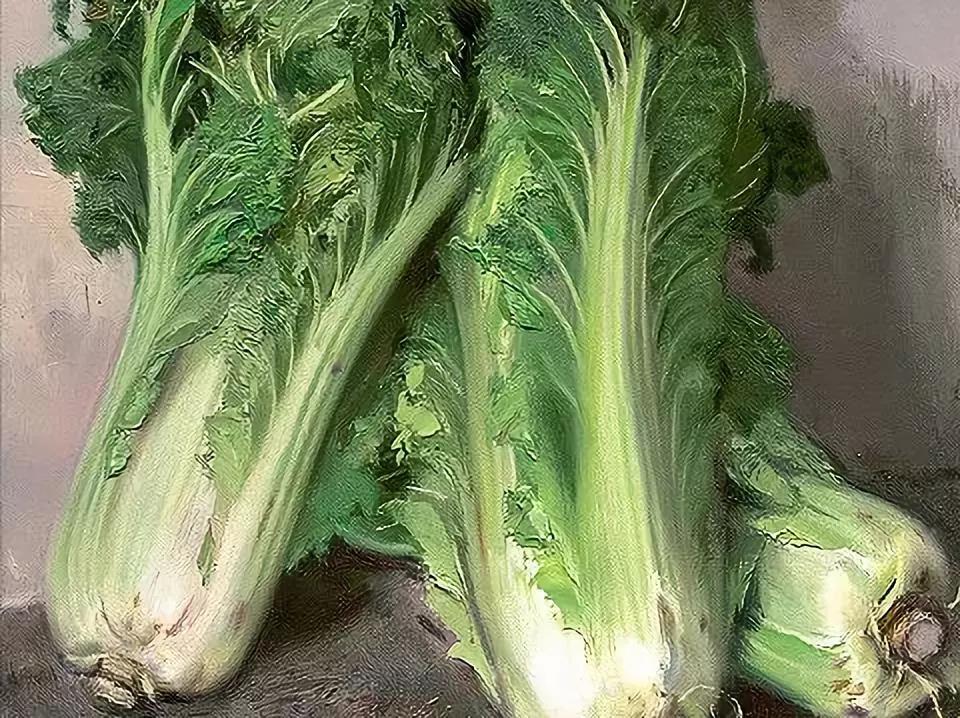 名家大师画白菜,画家笔下的工笔画白菜