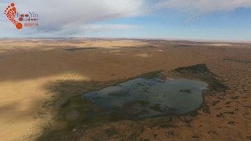 限时抢100元优惠券,限时优惠抢券