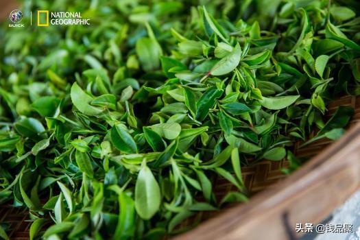 寰行中国：广东广西的“水”，究竟藏了多少历史之谜？