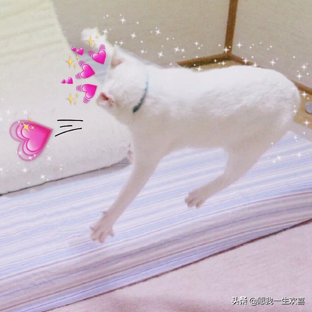 情侣头像是情侣最基本的吗,理想的情侣头像一对