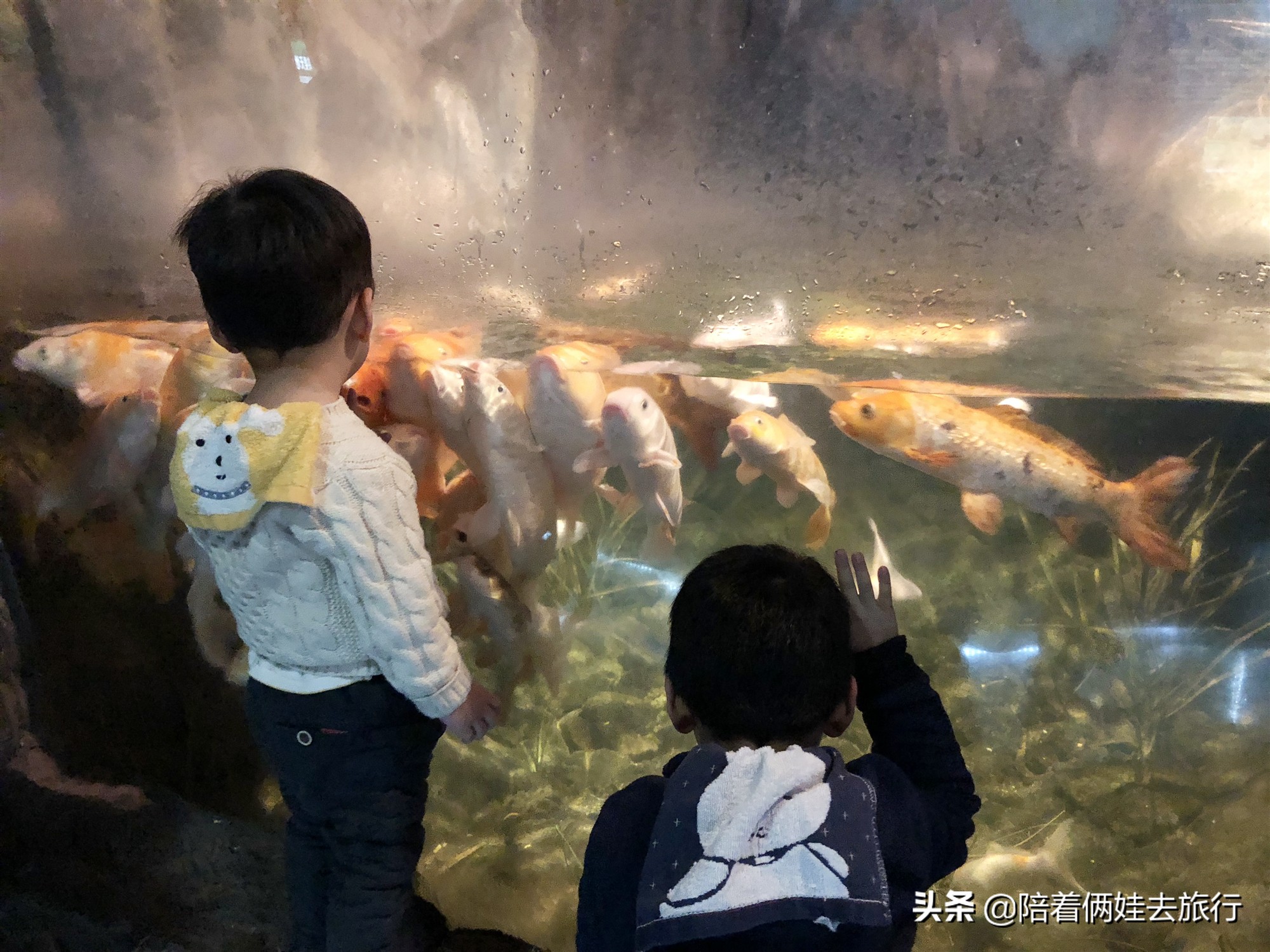 上海科技馆模拟太空飞船,上海科技馆科学营