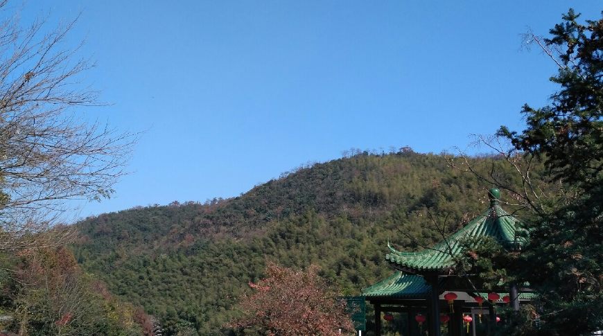 风景秀丽的宜兴竹海,漫步竹林呼吸大自然的清新