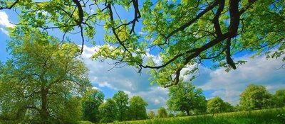 没钱没背景，怎样才能成功？