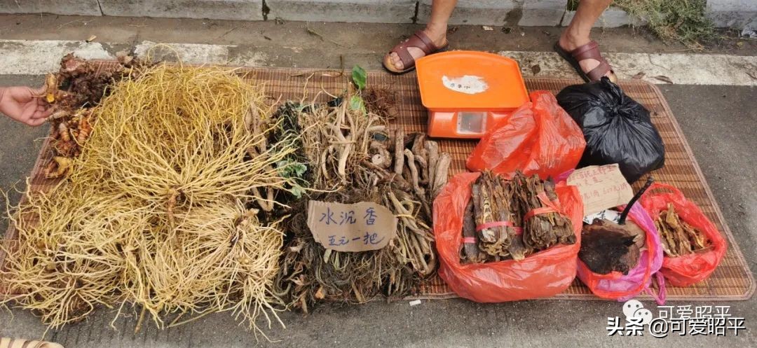 记住乡愁容县篇,记住乡愁视频美食