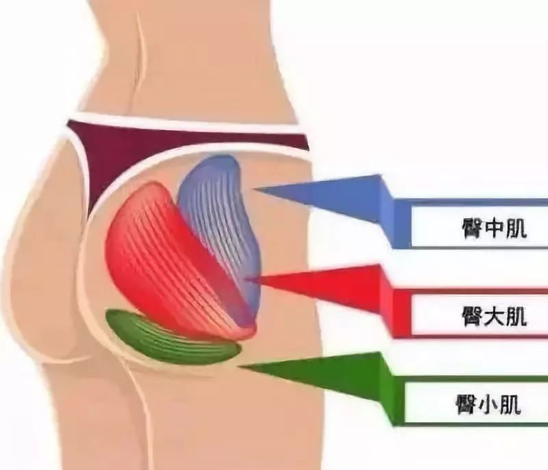 怎么拉长臀线变成大长腿,4个动作拯救你的扁塌臀