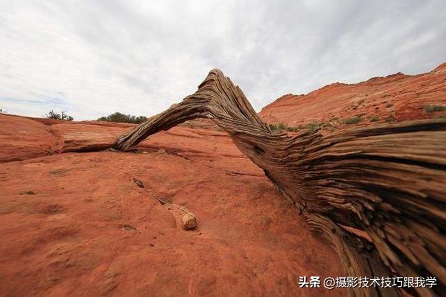 使用广角镜头的效果,广角镜和广角镜头