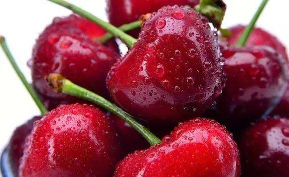 狗狗禁止吃的20种食物列表,狗狗不能吃的6种蔬果养狗须知