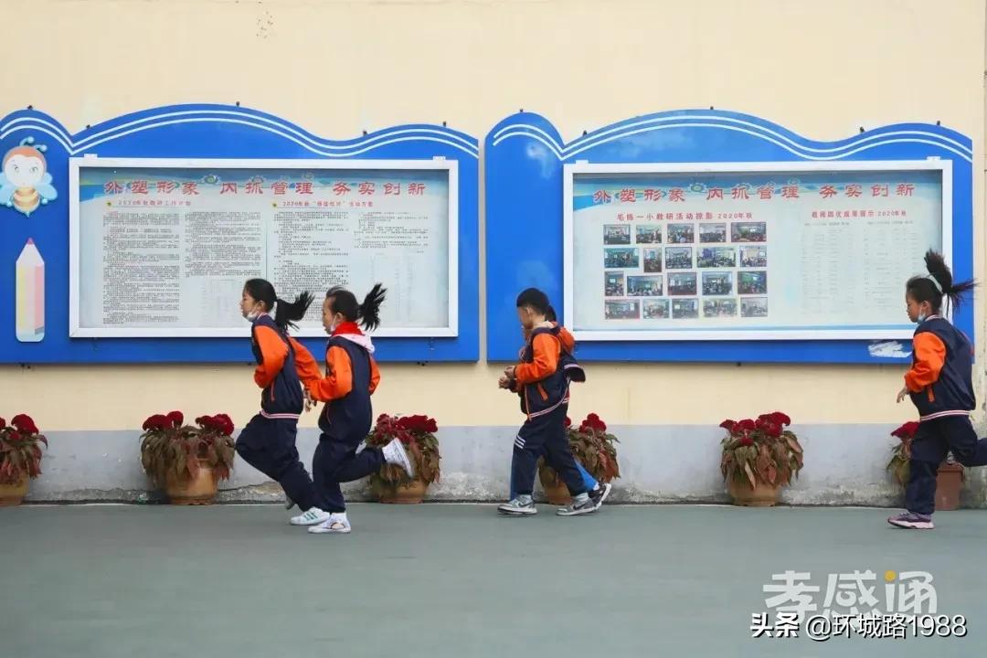 未来可期！向你展现不一样的毛陈