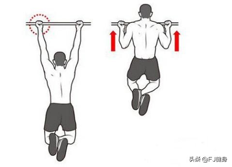 怎么练引体向上零基础学生,初中生一个月引体向上训练计划