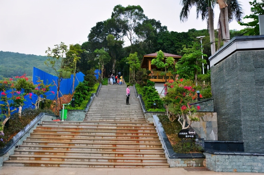 厦门旅游攻略免费,厦门旅游哪里好玩又免费攻略