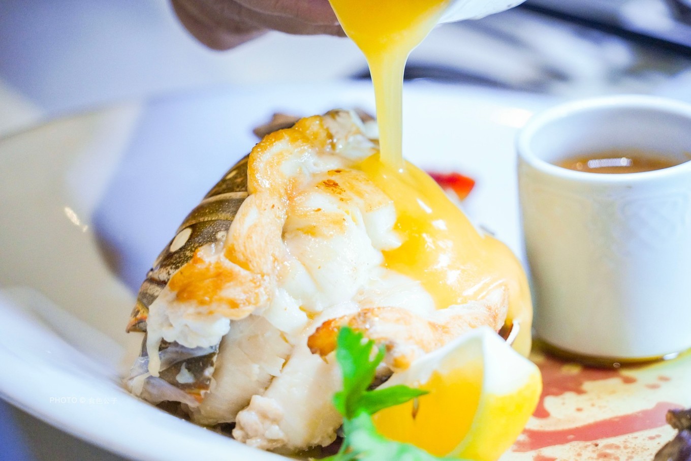 邮轮像海上养猪场,海上养猪场不负盛名