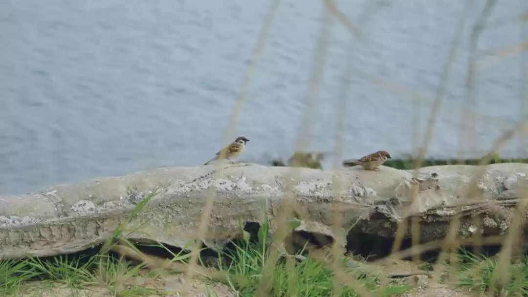 我干了一份日新千元的活