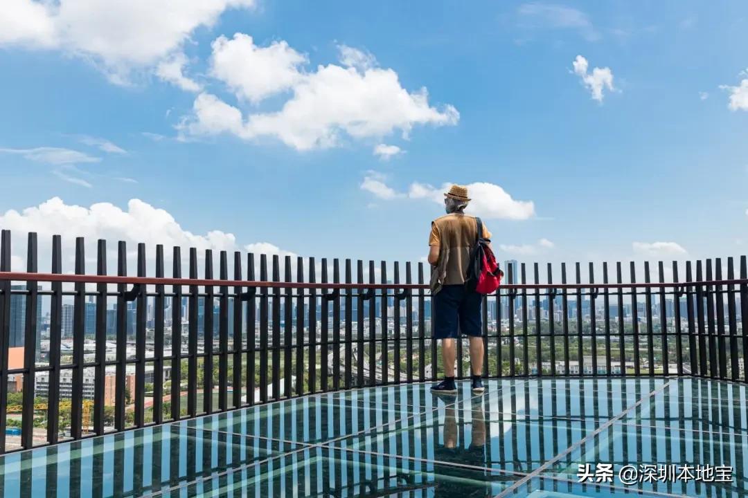 深圳有哪些地方免费景点,深圳都有什么景点免费游玩