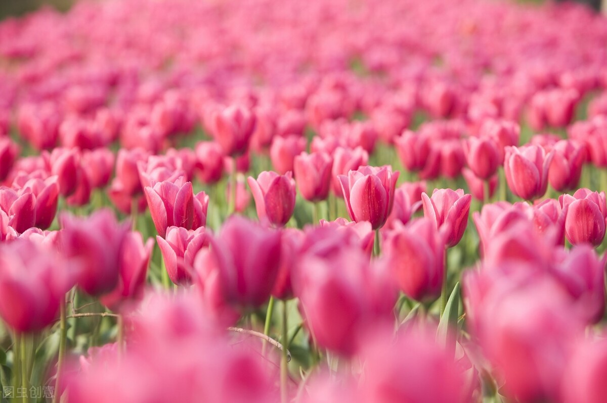 关于赚钱的财商小知识,财商懂了