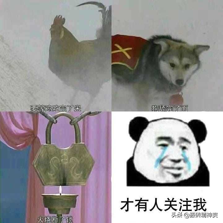 推荐7款超好用的搜索工具,10个超级好用的软件