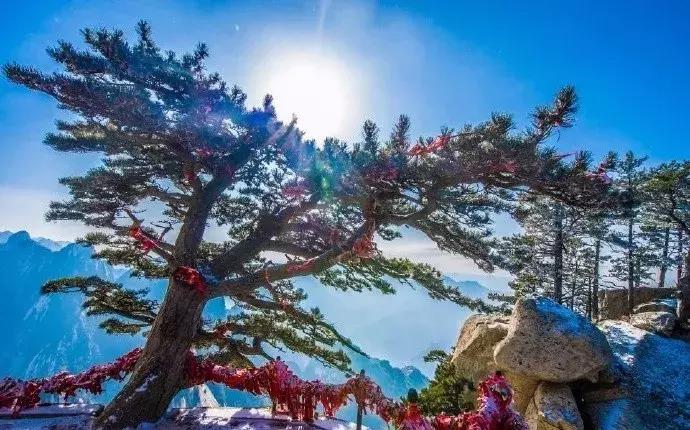 华山景区门票优惠政策最新消息,华山景区优惠门票价格表