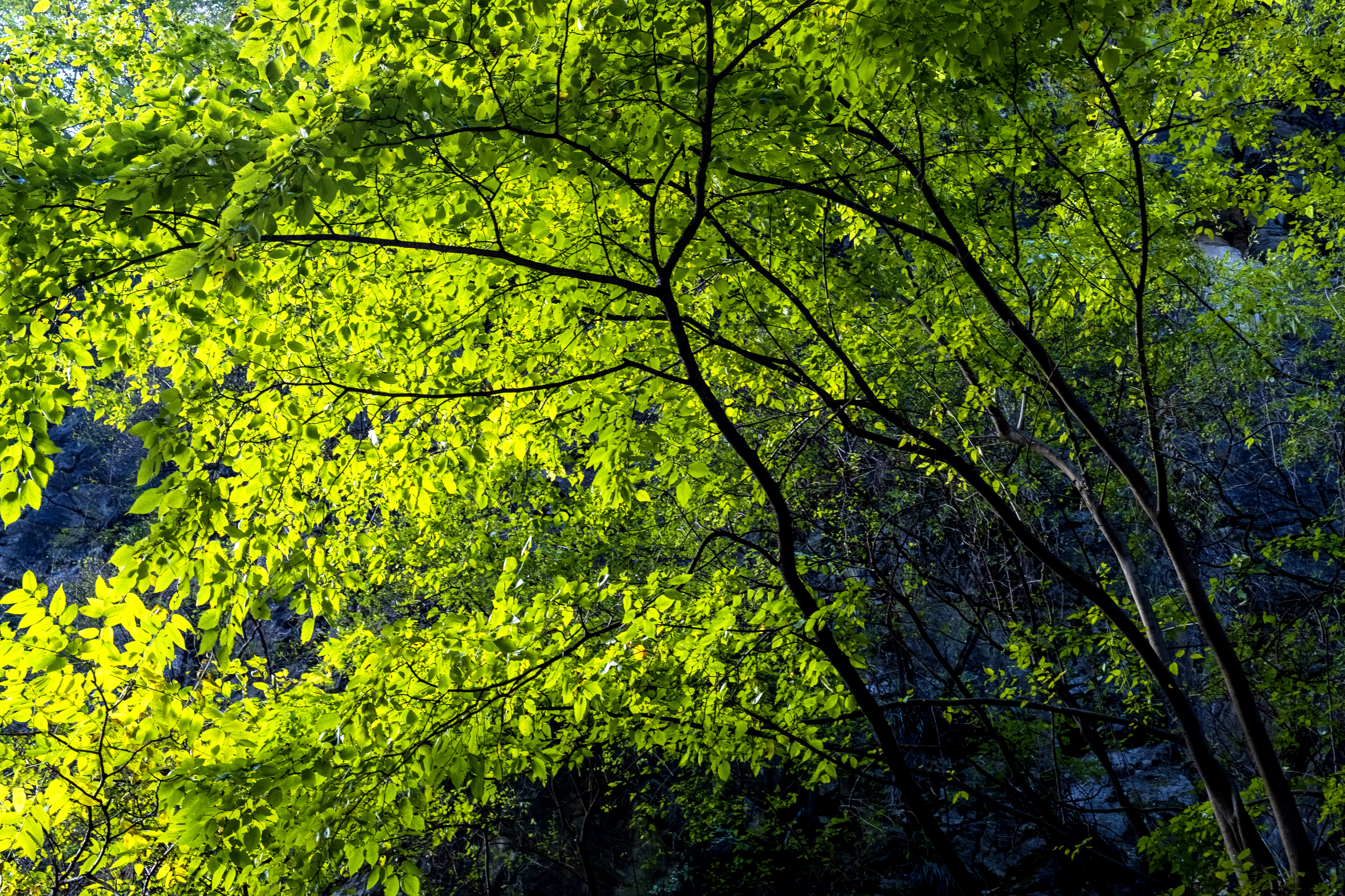 秋色美景落雨图片,秋色美景绝色大图