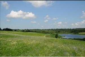 德国喜宝hipp怎么样,法国hipp喜宝奶粉怎么样