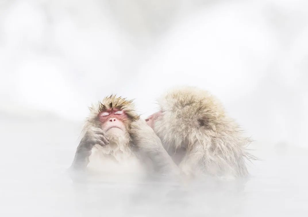 世界优秀获奖摄影作品,摄影大赛获奖作品欣赏