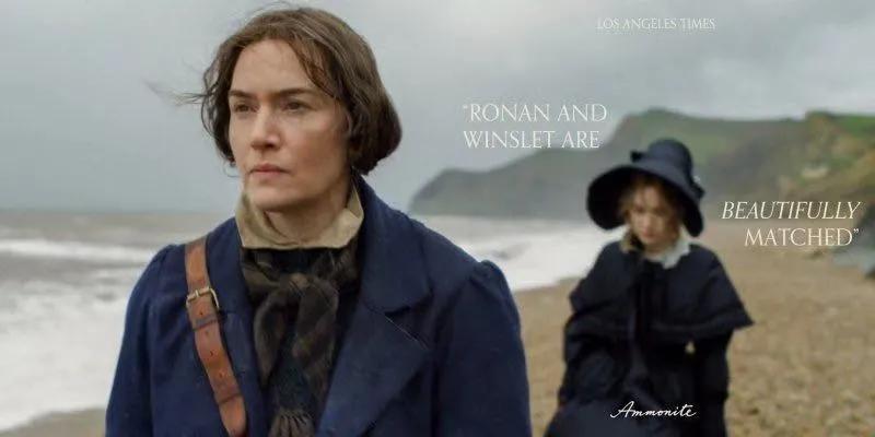 《菊石》的后劲：沉浸体验式的阅片过程，前所未有