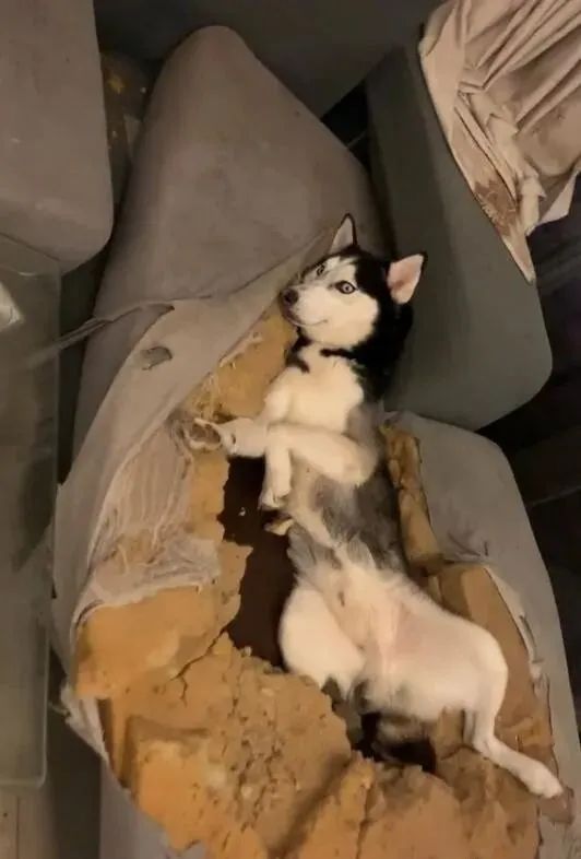 体检社死,体检死亡事件