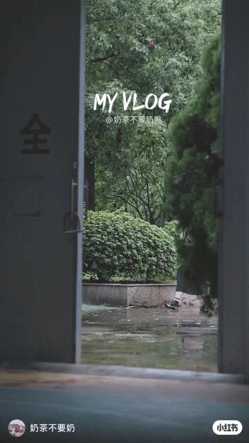 衢州为啥没有衢州鸭头,衢州鸭头不一样