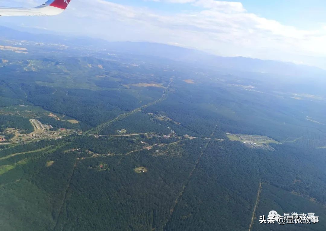 刷胶燕窝对人体伤害,刷胶燕窝索赔