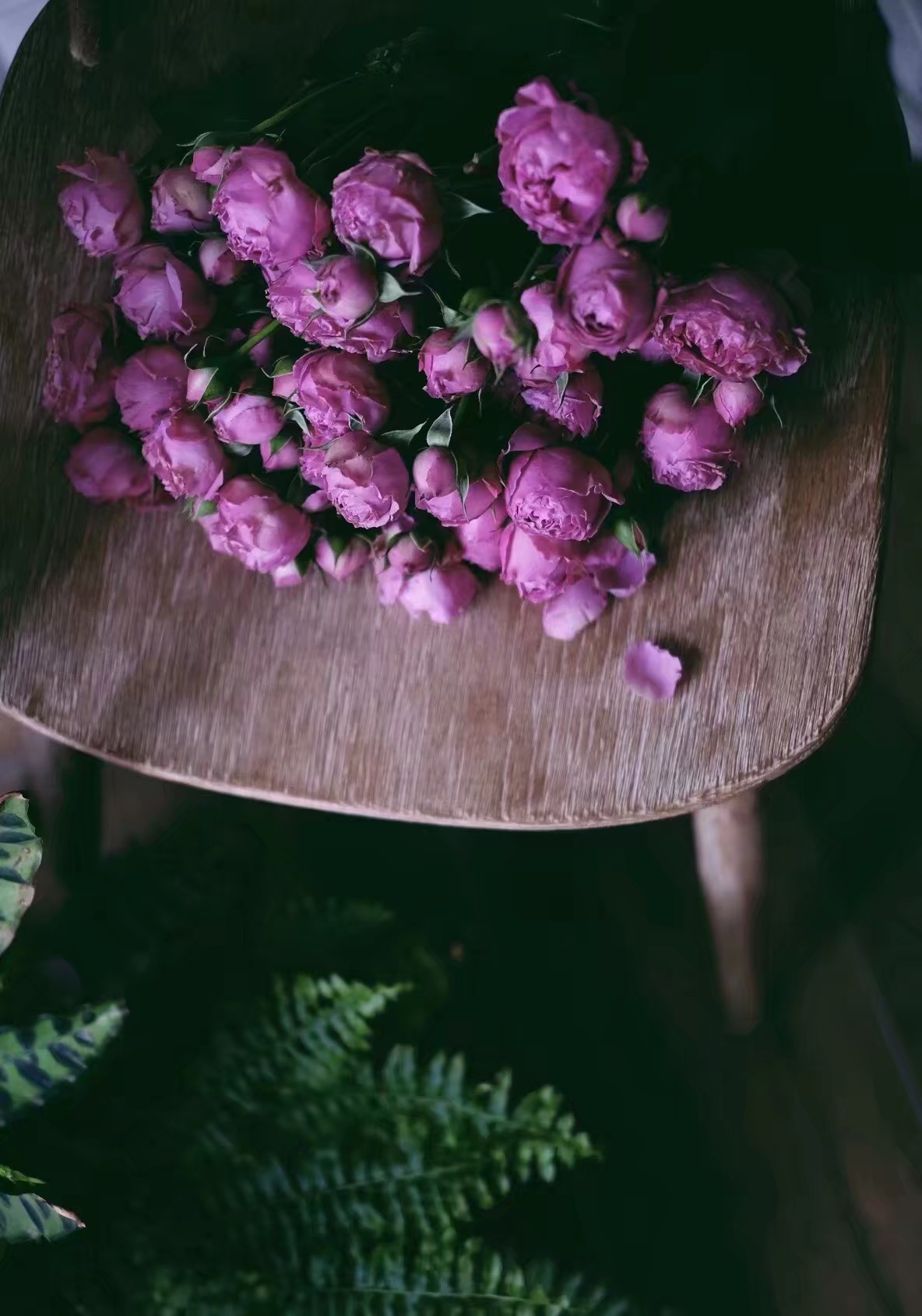 描写月色的散文名篇,散文月色的美感