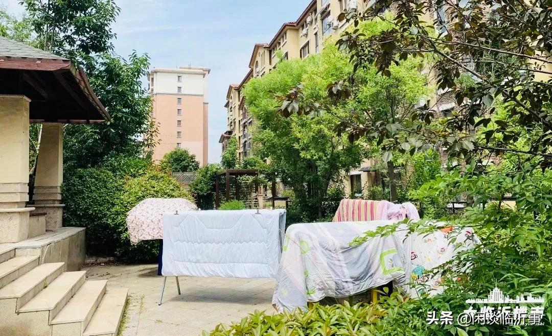 可圈可点，实探临沂学区老大哥三十五中，周边两万+的学区房