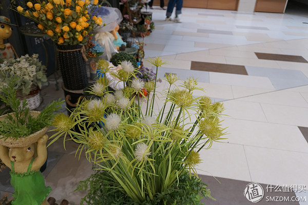 p20徕卡镜头,p20徕卡相机