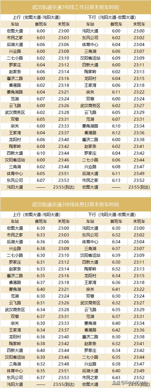 2021年武汉地铁,武汉地铁2021年底线路图