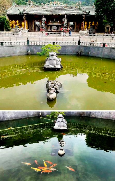 欧亚瑟生态水景,欧亚瑟造景鱼缸