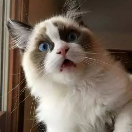 令人讨厌的肥胖纹怎么消除？不用祛纹霜也能消除！