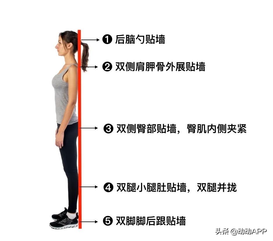 靠墙站燃脂塑形,20分钟站立燃脂