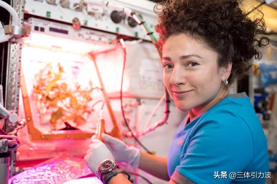 spacex发射一级火箭会回收吗,spacex首次成功回收一级火箭