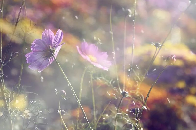 姣忔棩鑻辫闃呰149,姣忔棩鑻辫闃呰298