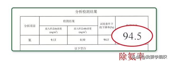 快速去除家中宠物臭味,下水道反味除臭杀菌