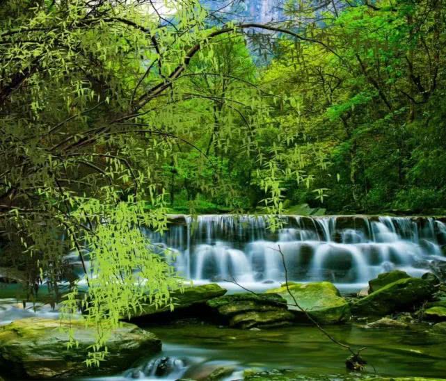 重庆南川金佛山自驾游图片,重庆金佛山自驾游最佳路线