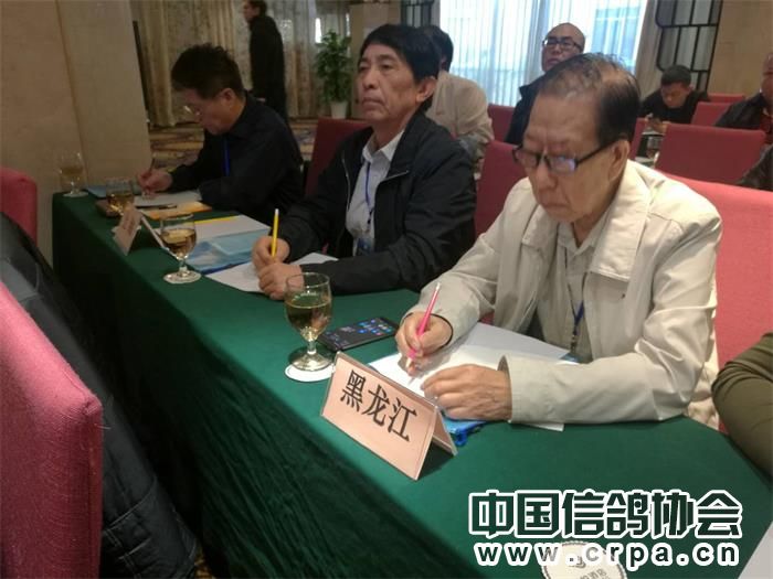 中国信鸽协会各地鸽会,惠州市信鸽协会电话