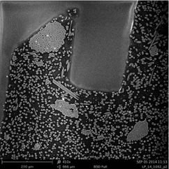 sem扫描电镜原理及应用,sem扫描电镜分析的作用