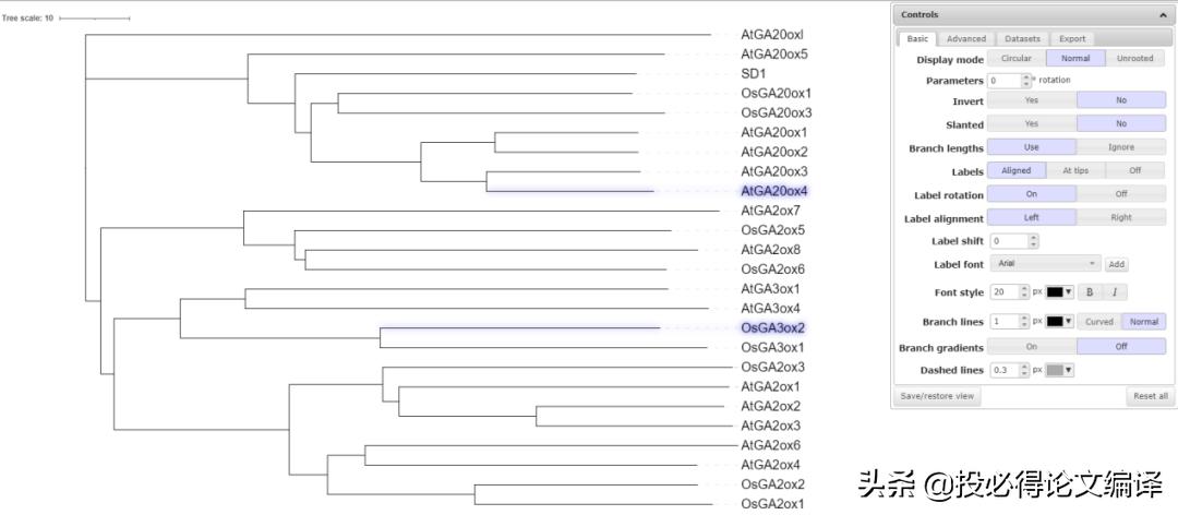 生物学应用软件,制作生物进化树的软件