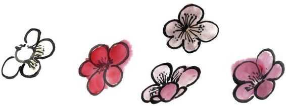 国画梅花上的雪画法步骤教程视频,零基础国画入门画梅花教程