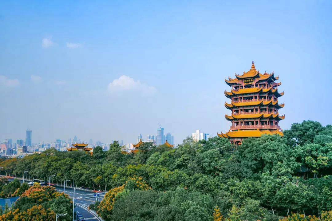 武汉花鸟市场买鸟,武汉花鸟市场的花便宜吗