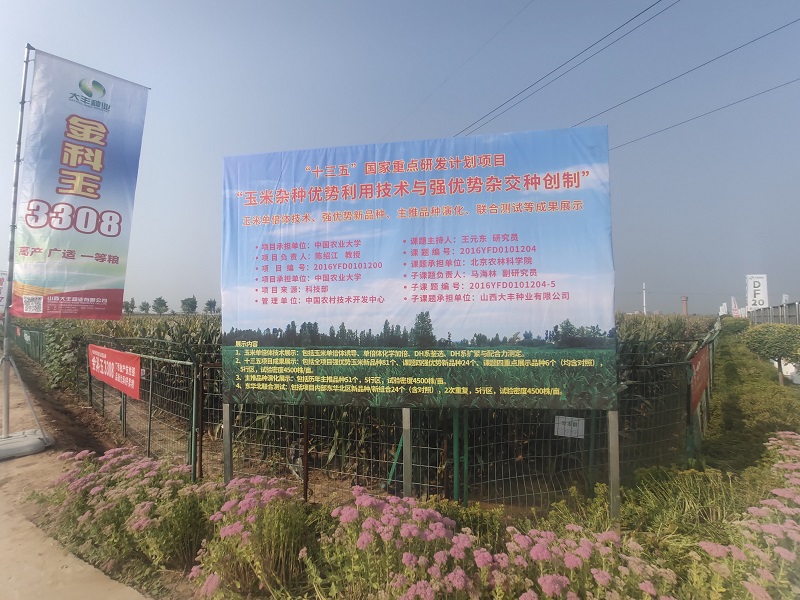 单倍体育种详细过程,提高玉米育种效率的技术途径探析