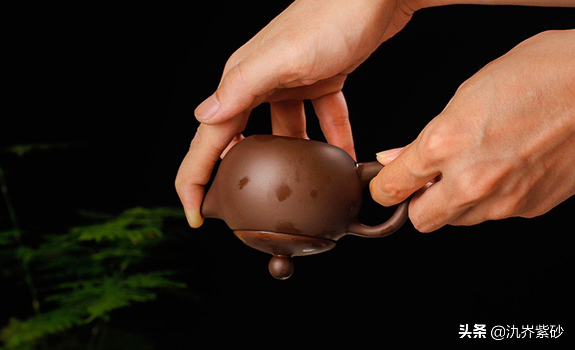 买壶骗局揭秘视频,买壶被坑