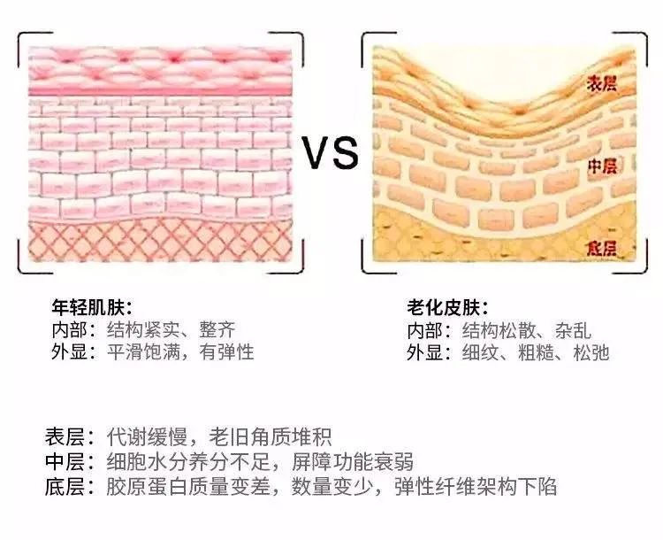 胶原蛋白填充的优缺点,填充胶原蛋白的优缺点
